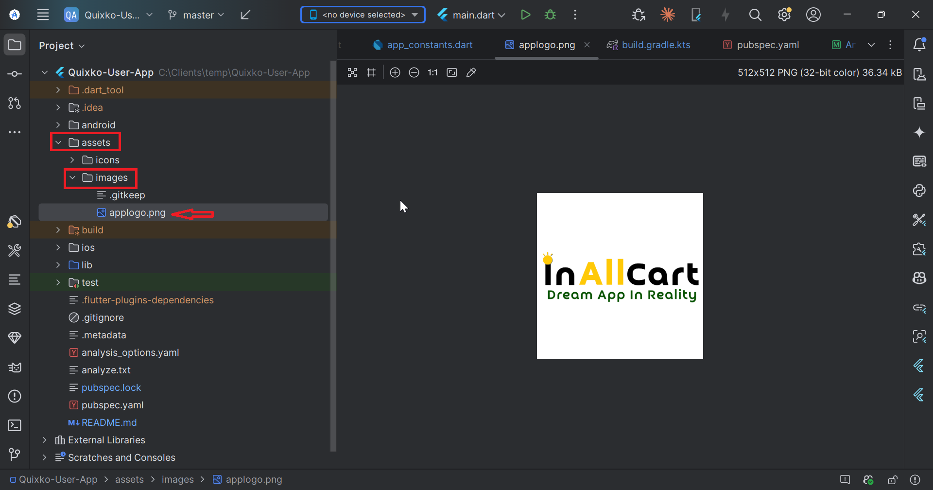 Replace app logo